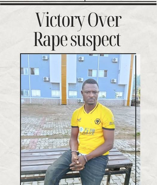 Vigilante Group of Nigeria and NAPTIP Collaborate to Arrest Rape Suspect, Bringing Justice to Victim